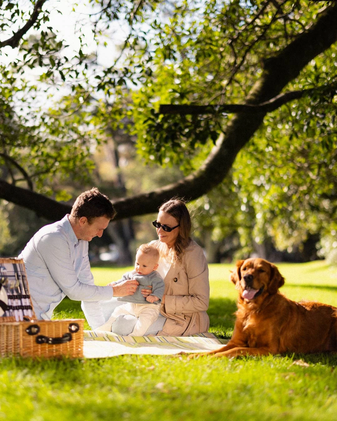 AFL_Website_loans-family-mobile