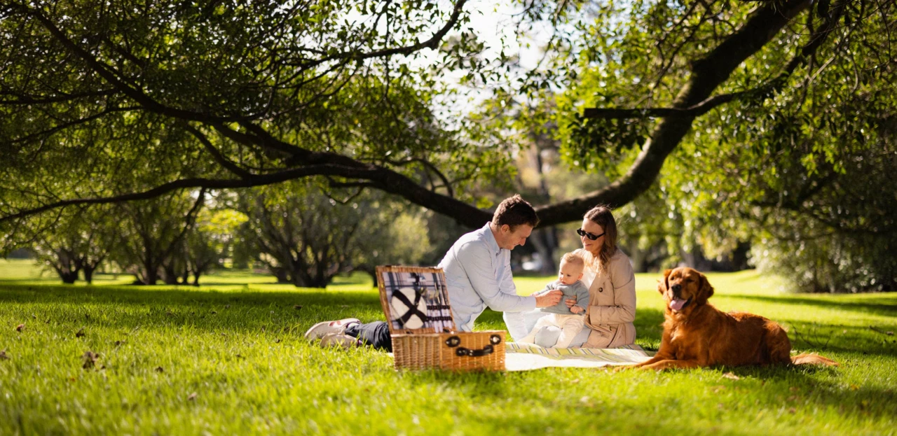 AFL_Website_loans-family